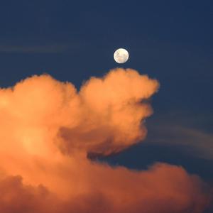 中国老太大毛茸茸视频
