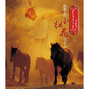 中国老太大毛茸茸视频
