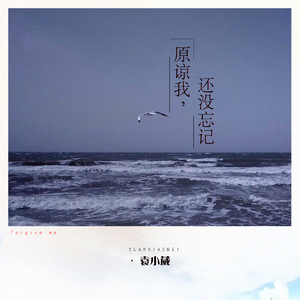 中国老太大毛茸茸视频
