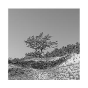 中国老太大毛茸茸视频
