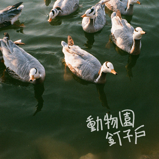 中国老太大毛茸茸视频
